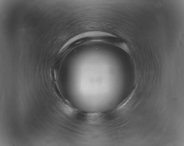 X0000051920192200507011609