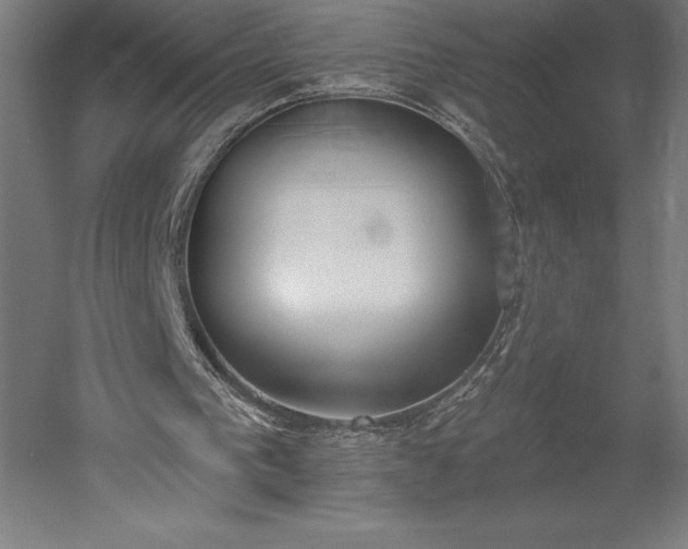 X0000051920193200507011609