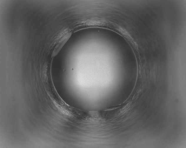 X0000051920201200507011608