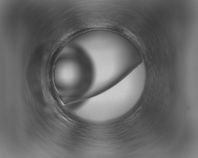 X0000051920203200507011608