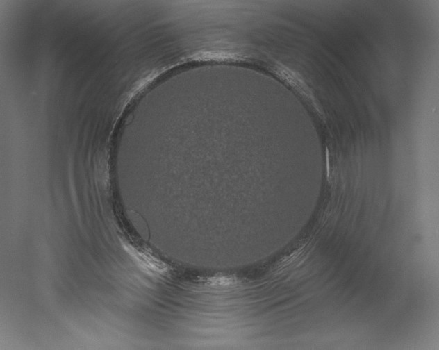 X0000051920204200507011608