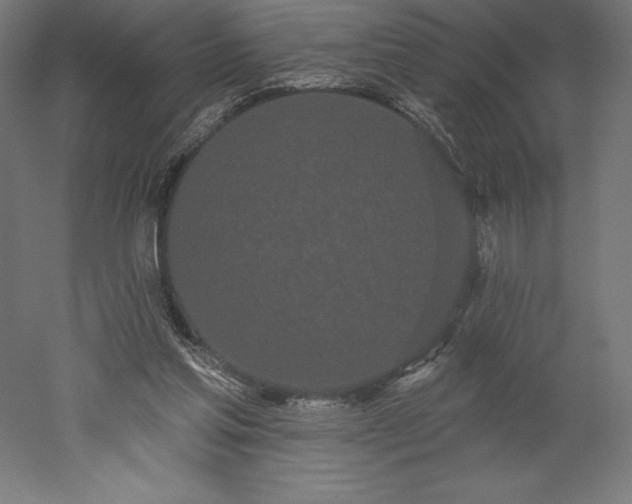 X0000051920205200507011608