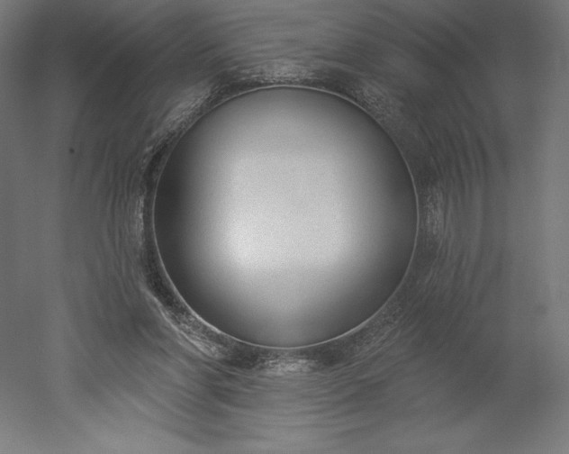 X0000051920206200507011608