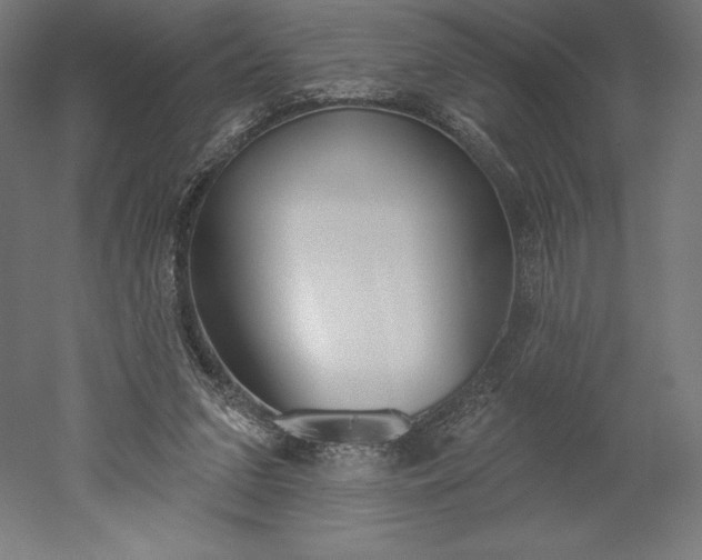 X0000051920207200507011608
