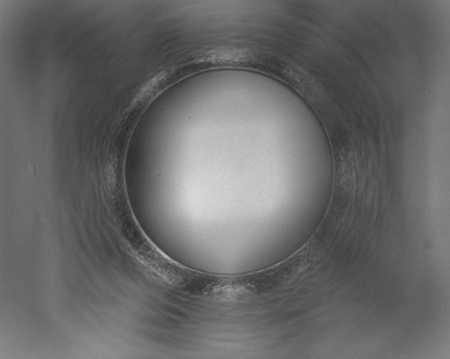 X0000051920208200507011608
