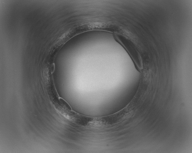 X0000051920211200507011608