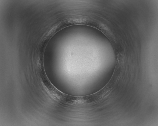X0000051920212200507011608