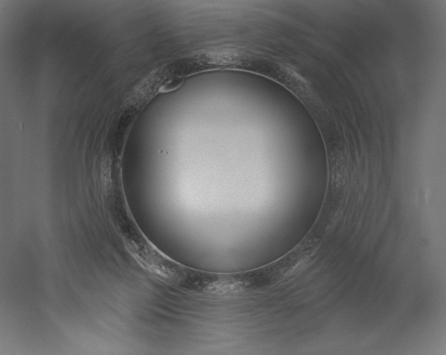 X0000051920213200507011608