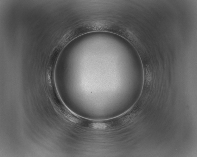 X0000051920214200507011608