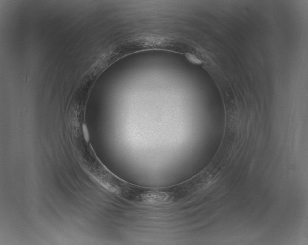 X0000051920215200507011608