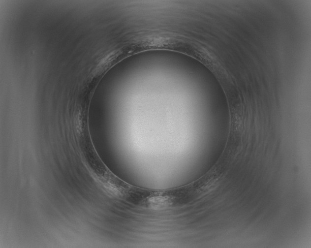 X0000051920216200507011608