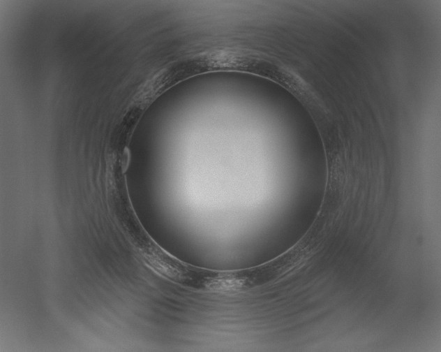X0000051920217200507011608