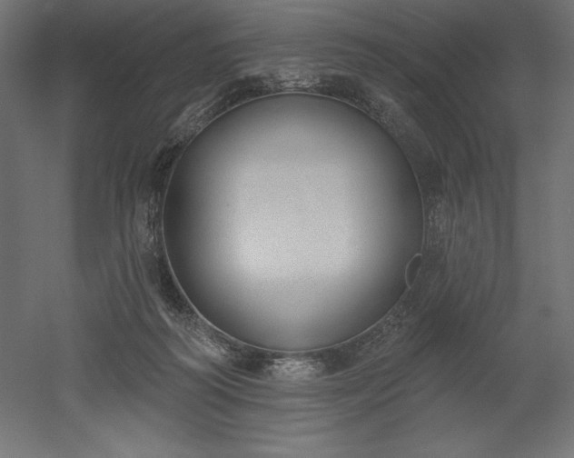 X0000051920218200507011608