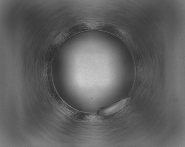 X0000051920221200507011608