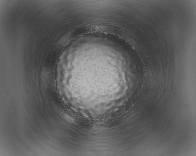 X0000051920222200507011608