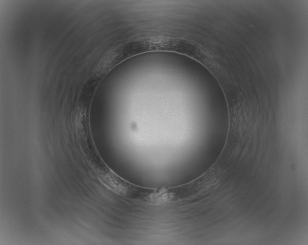 X0000051920225200507011608