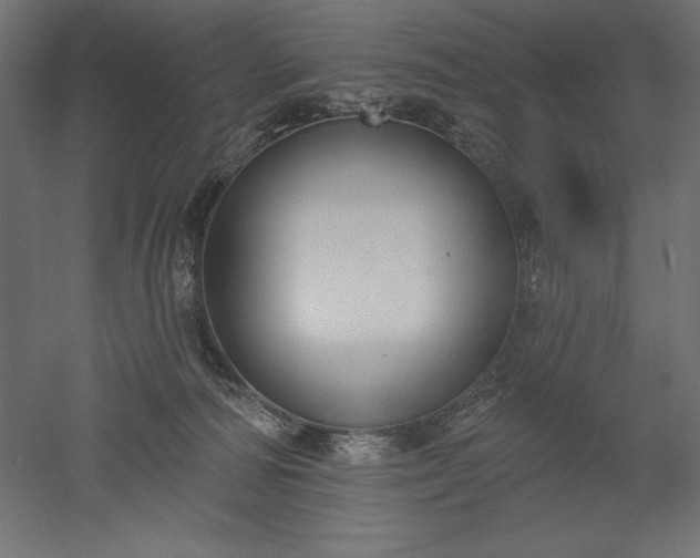 X0000051920226200507011608
