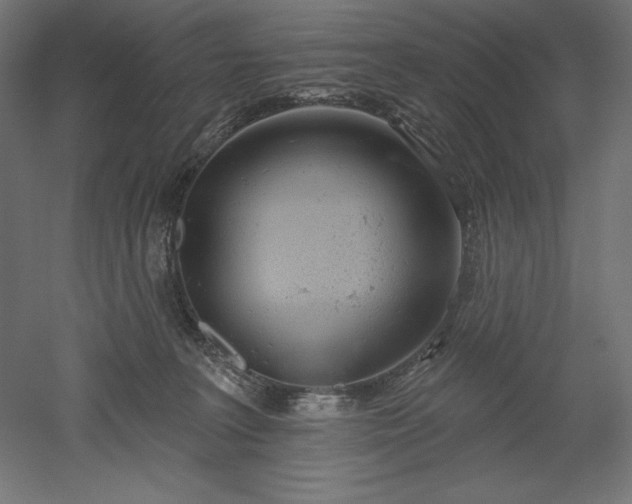X0000051920227200507011608