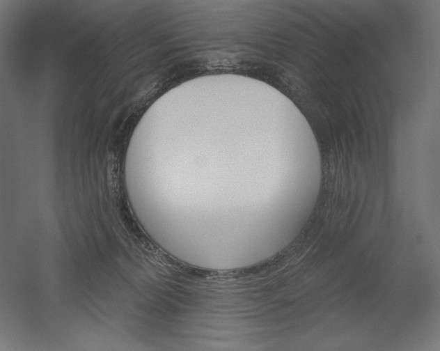 X0000051920228200507011608