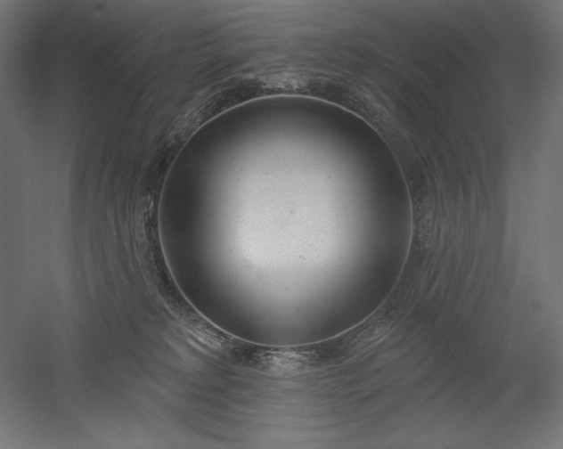 X0000051920229200507011608