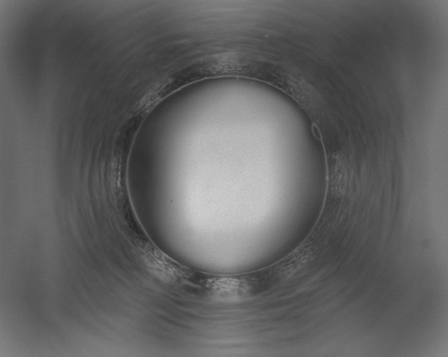 X0000051920230200507011608