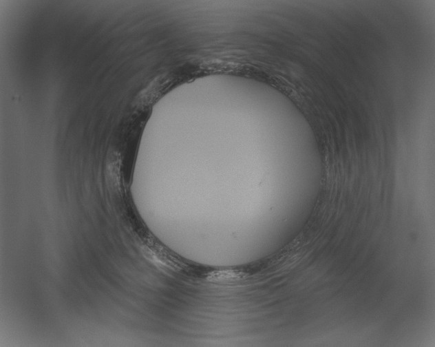 X0000051920231200507011608