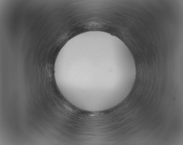 X0000051920232200507011608