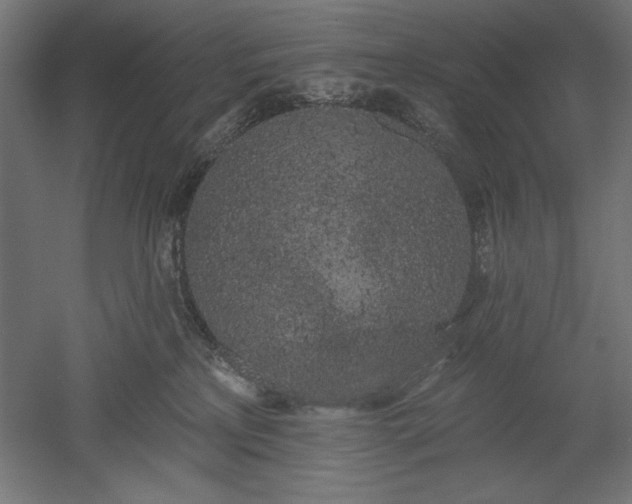 X0000051920233200507011608