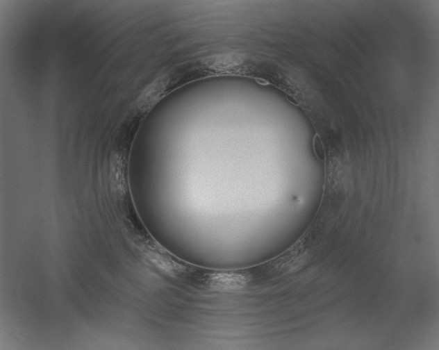X0000051920234200507011608