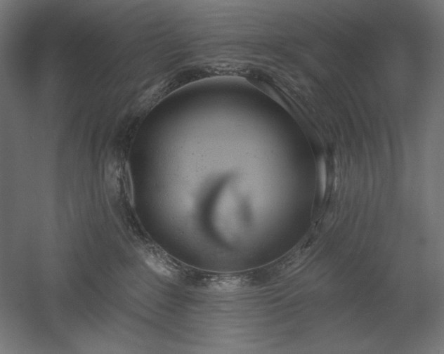 X0000051920235200507011608