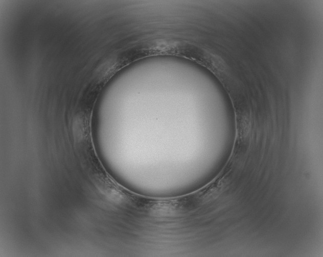 X0000051920236200507011608