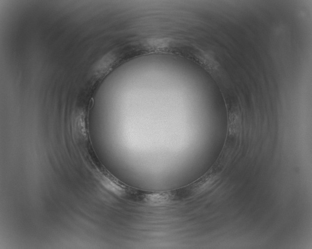 X0000051920238200507011608