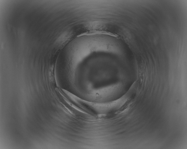 X0000051920239200507011608