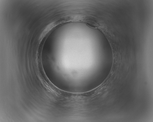 X0000051920242200507011607