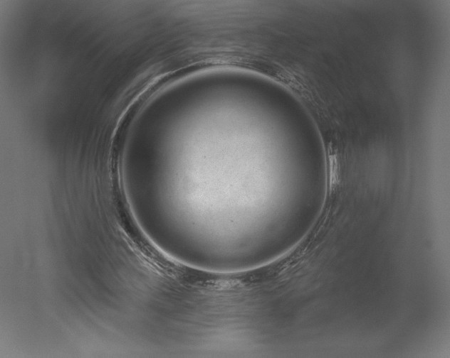 X0000051920243200507011607