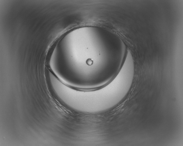 X0000051920244200507011607