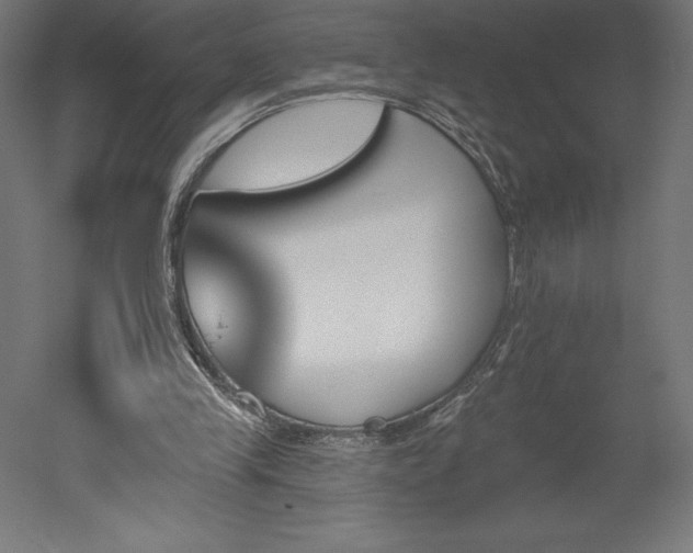 X0000051920245200507011607