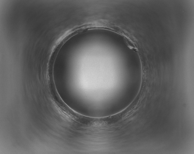 X0000051920248200507011607