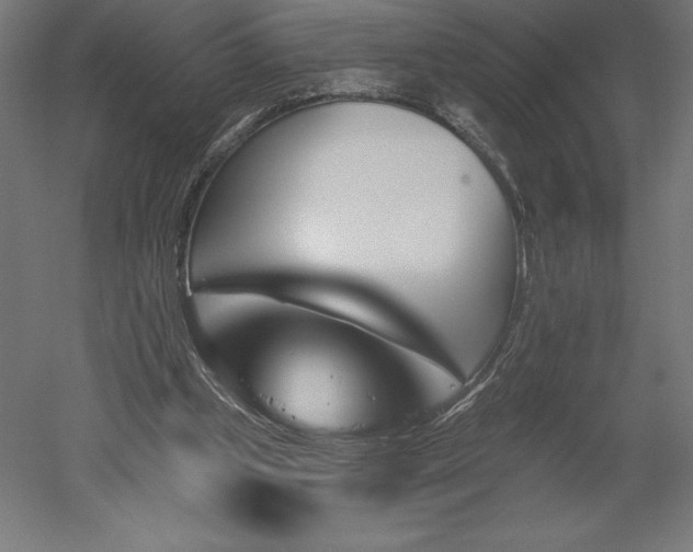 X0000051920249200507011607
