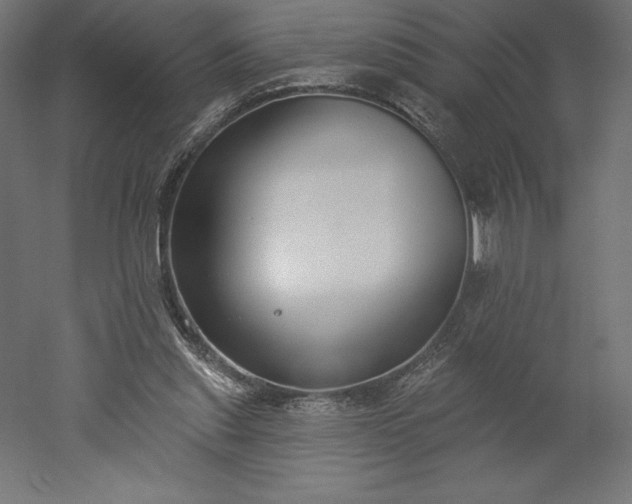 X0000051920253200507011607
