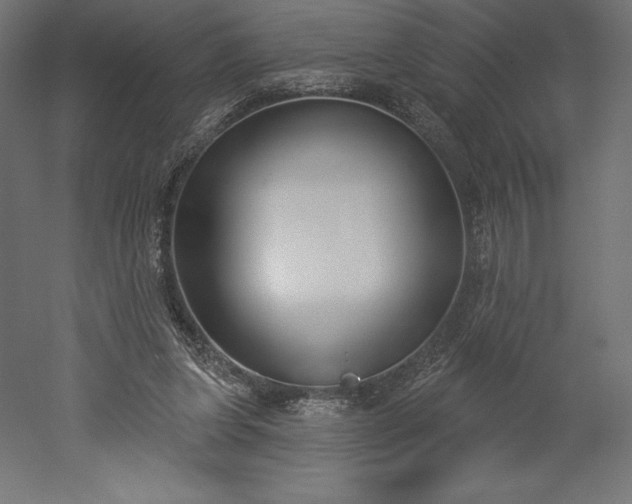 X0000051920255200507011607