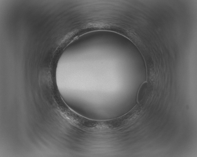 X0000051920256200507011607