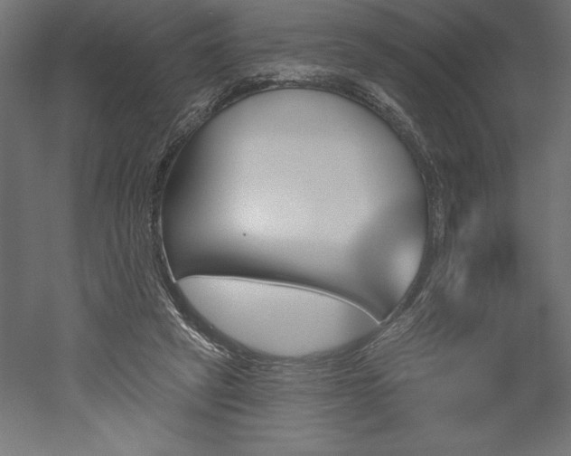 X0000051920257200507011607
