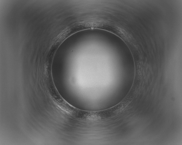 X0000051920258200507011607