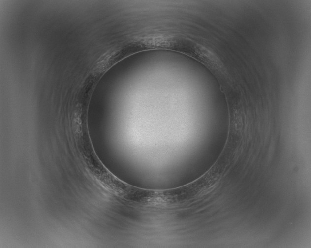 X0000051920259200507011607