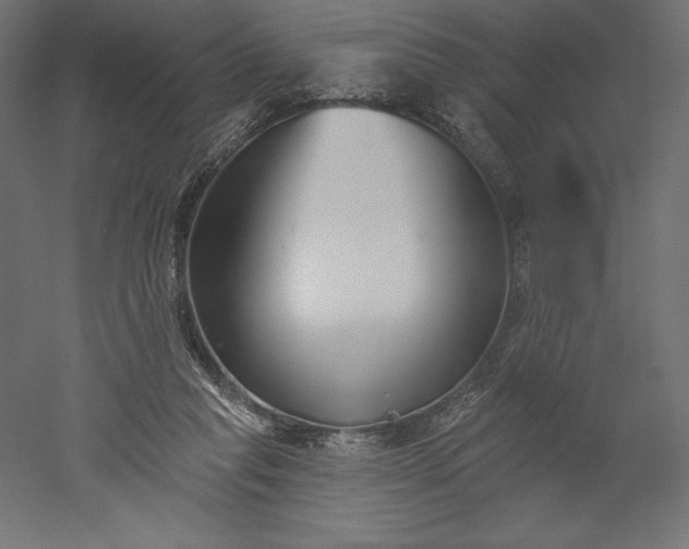 X0000051920261200507011607