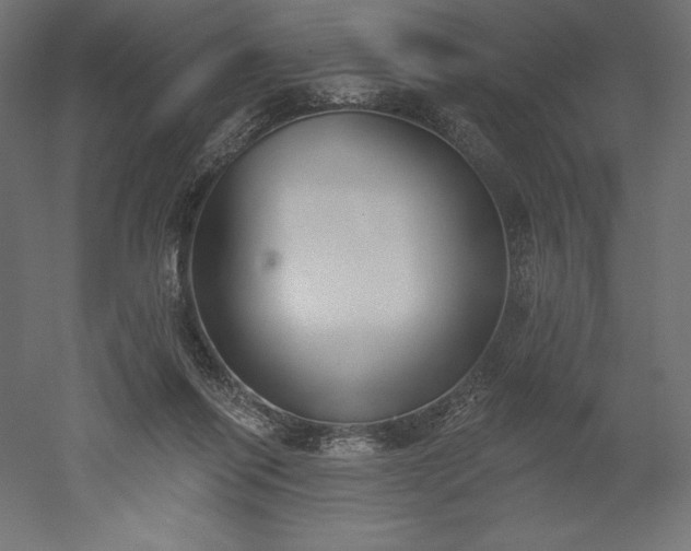 X0000051920262200507011607
