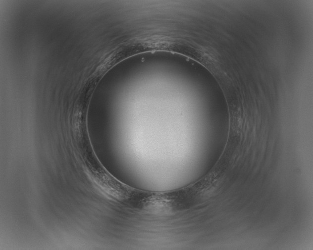X0000051920263200507011607