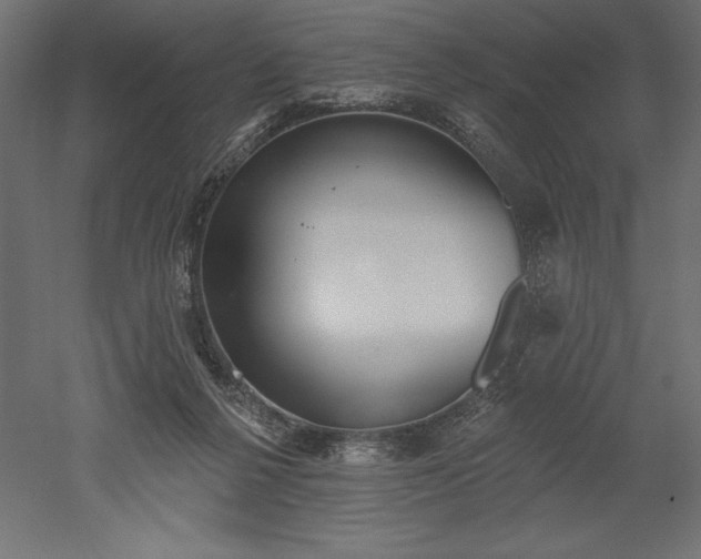 X0000051920264200507011607
