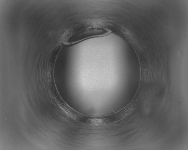 X0000051920265200507011607